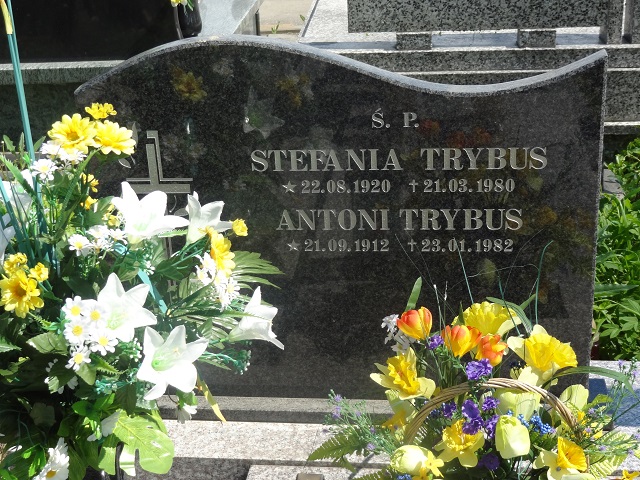 Grób Stefania Trybus