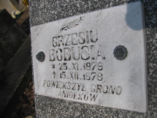 Grzegorz Bobusia 1979 Jedlicze i Potok - Grobonet - Wyszukiwarka osób pochowanych