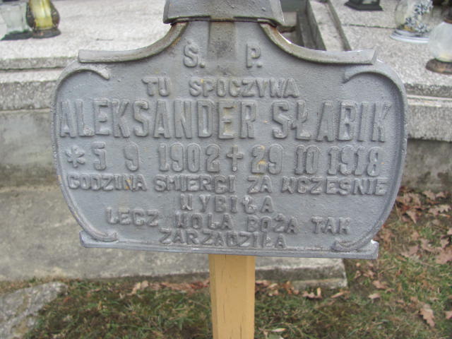 Aleksander Słabik 1902 Jedlicze i Potok - Grobonet - Wyszukiwarka osób pochowanych