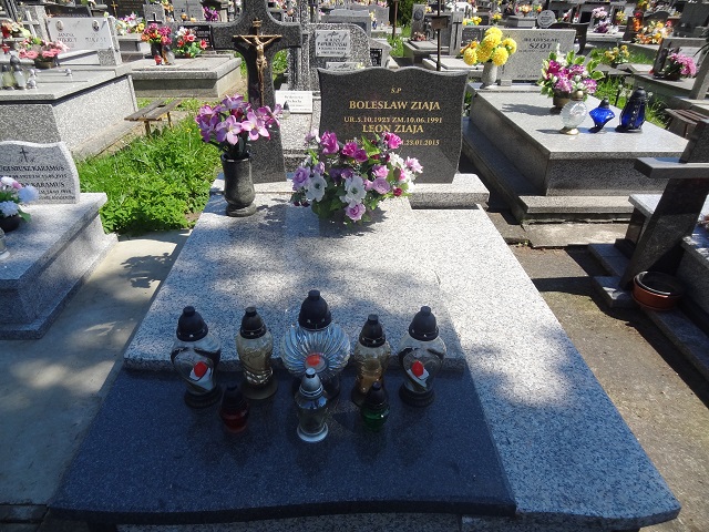 Leon Ziaja 1948 Jedlicze i Potok - Grobonet - Wyszukiwarka osób pochowanych