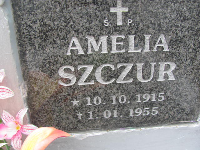 Amelia Szczur 1915 Jedlicze i Potok - Grobonet - Wyszukiwarka osób pochowanych