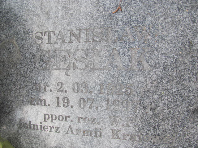 Franciszek Gęsiak 1900 Jedlicze i Potok - Grobonet - Wyszukiwarka osób pochowanych