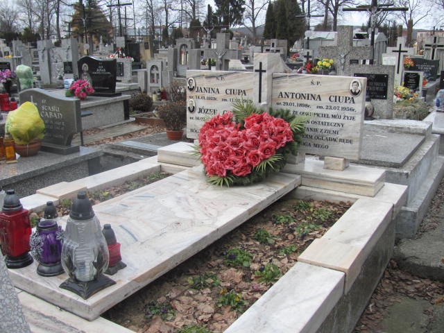 Grób Antonina Ciupa