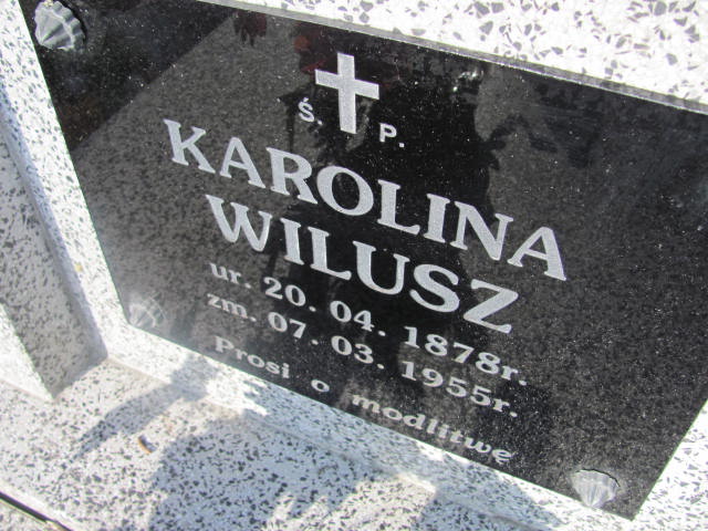 Karolina Wilusz 1878 Jedlicze i Potok - Grobonet - Wyszukiwarka osób pochowanych