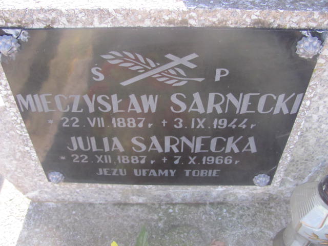 Mieczysław Sarnecki 1887 Jedlicze i Potok - Grobonet - Wyszukiwarka osób pochowanych
