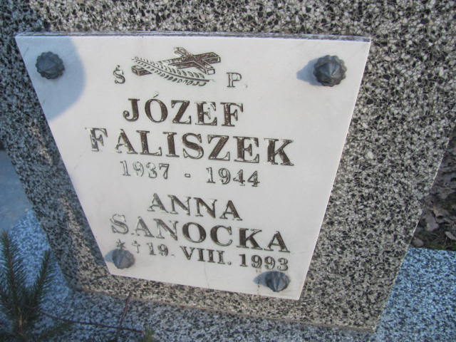 Józef Faliszek 1937 Jedlicze i Potok - Grobonet - Wyszukiwarka osób pochowanych