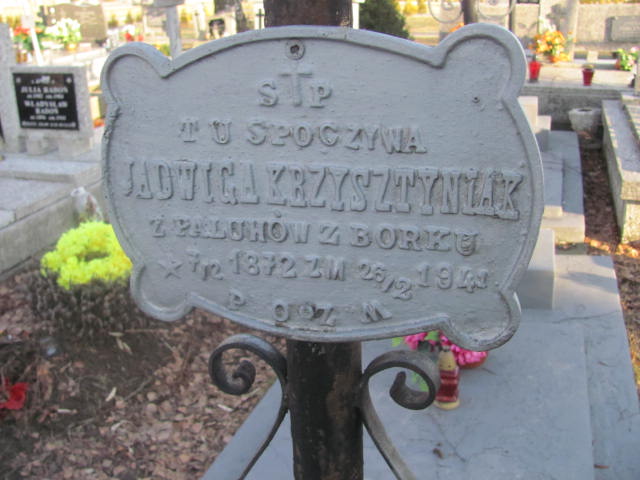 Jadwiga Krzysztyniak 1872 Jedlicze i Potok - Grobonet - Wyszukiwarka osób pochowanych