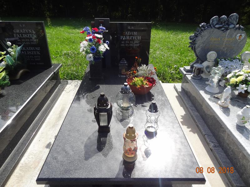 Adam Parzych 1947 Jedlicze i Potok - Grobonet - Wyszukiwarka osób pochowanych